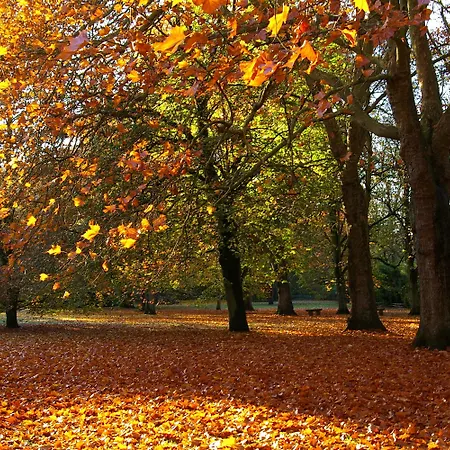 Hotel Le Château De La Tour Gouvieux