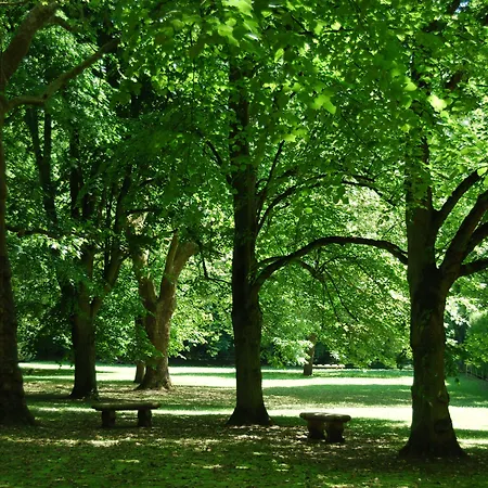 Le Château De La Tour 4*