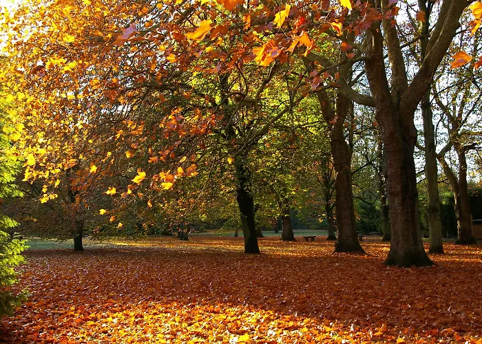 Hotel Le Chateau De La Tour Gouvieux